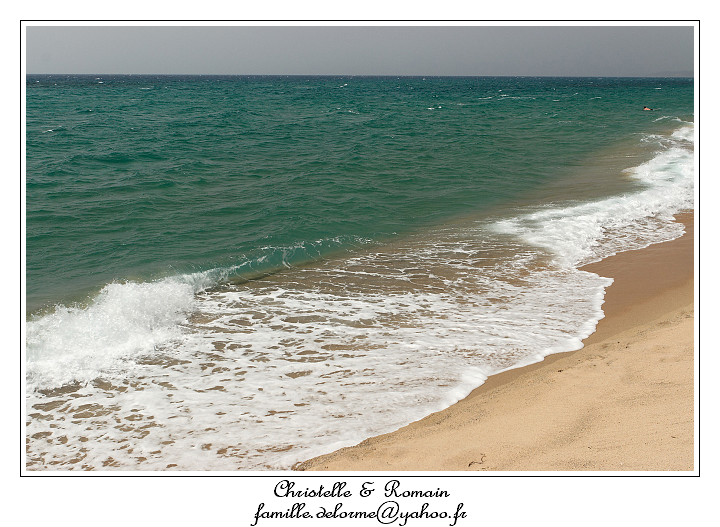 IMG_7826_RD.jpg