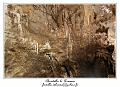 IMG_7273_RD