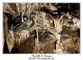 IMG_7284_RD