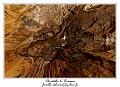 IMG_7298_RD