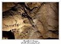 IMG_7302_RD