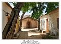 IMG_7317_RD