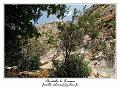 IMG_7406_RD