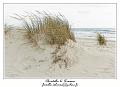 IMG_7422_RD