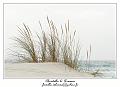 IMG_7433_RD