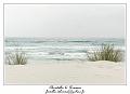 IMG_7434_RD