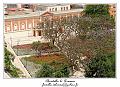 IMG_7547_RD