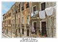 IMG_7579_RD