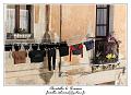IMG_7588_RD