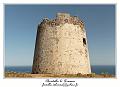 IMG_7646_RD