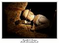 IMG_7664_RD