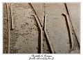 IMG_7673_RD