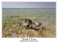 IMG_7716_RD