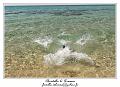 IMG_7762_RD