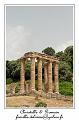 IMG_7799_RD