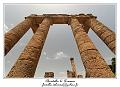 IMG_7804_RD