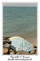 IMG_7835_RD