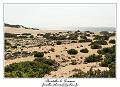 IMG_7848_RD
