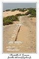 IMG_7856_RD