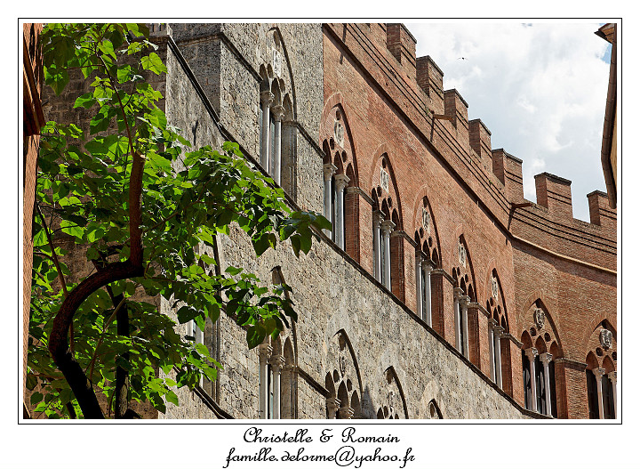 IMG_7013_RD.jpg