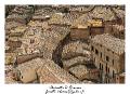 IMG_6983_RD