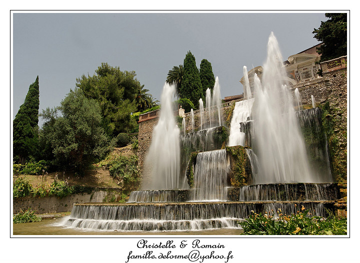 IMG_8310_RD.jpg