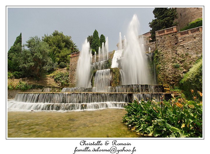 IMG_8315_RD.jpg