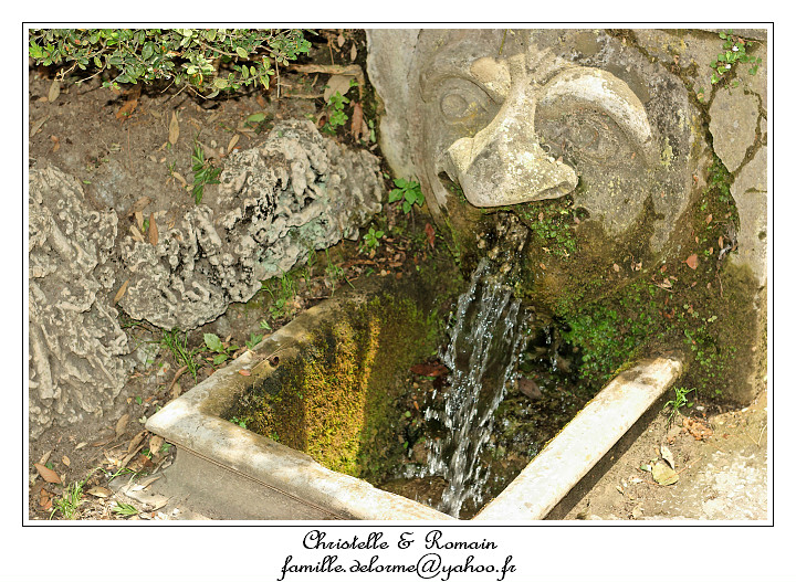 IMG_8336_RD.jpg