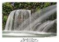 IMG_8284_RD