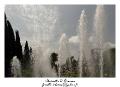 IMG_8300_RD