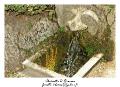 IMG_8336_RD