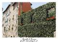 IMG_8349_RD