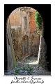 IMG_8356_RD