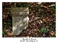 IMG_8362_RD