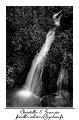 IMG_8370_RD