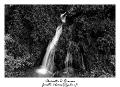 IMG_8372_RD