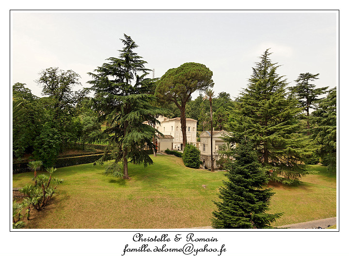IMG_8182_RD.jpg