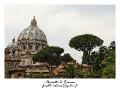 IMG_8181_RD