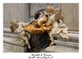 IMG_8227_RD