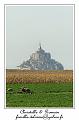IMG_9208_RD