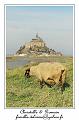 IMG_9211_RD