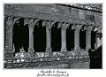 IMG_9236_RD