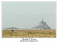 IMG_9328_RD
