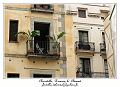 IMG_1498_RD