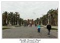 IMG_1515_RD