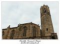 IMG_1516_RD