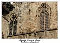 IMG_1520_RD