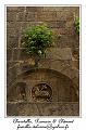 IMG_1532_RD