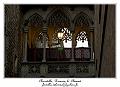 IMG_1539_RD