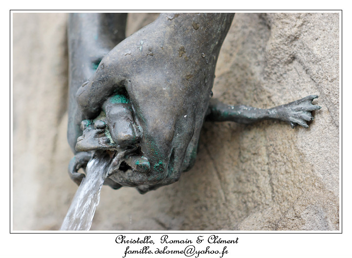 IMG_1329_RD.jpg - et la grenouille crache de l'eau